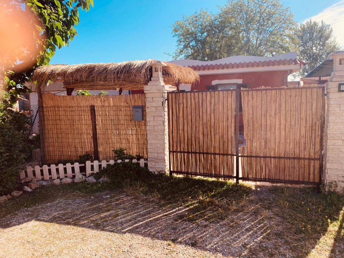 Ferienwohnung Casa Fe Fregenae Exterior foto